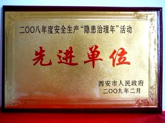 2009年2月，被西安市人民政府评为2008年度安全生产“隐患治理年”活动先进单位